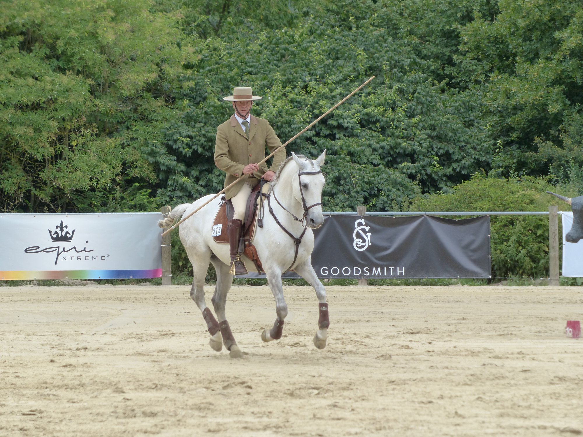 Working Equitation mit Trail-Hindernis und Garrocha