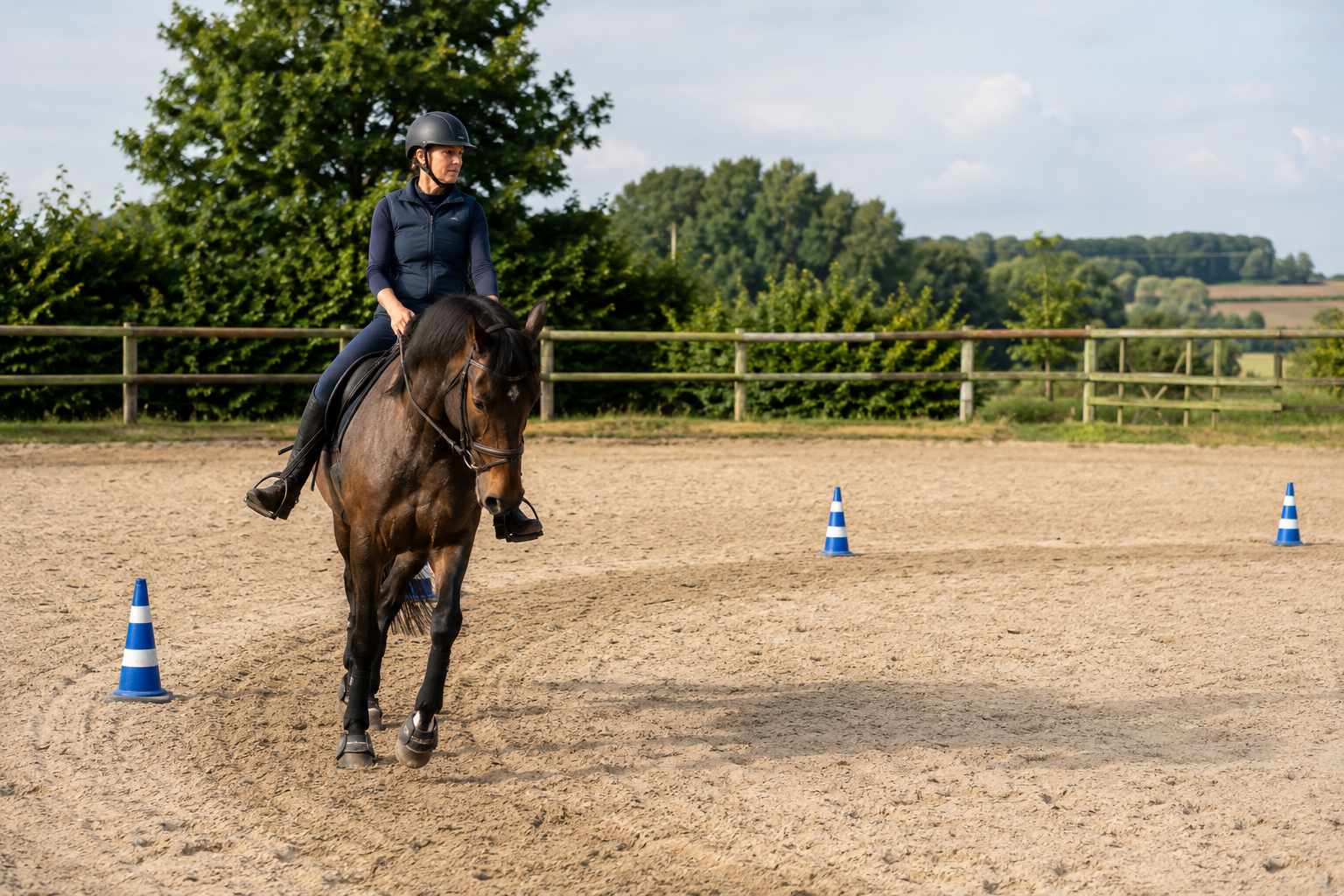 Reiterin mit Pferd auf einer Voltenlinie zwischen Pylonen