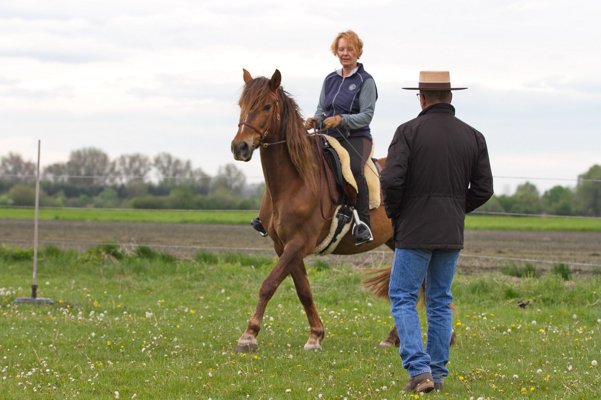 Rolf Janzen im Reitunterricht mit Pferd und Reiterin